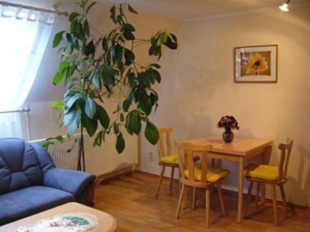 바트프랑켄하우젠 Haus Feldmuehle 아파트 객실 사진